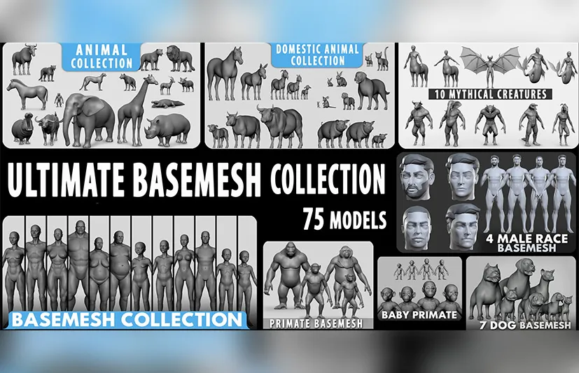 终极基础模型集合包 – Ultimate Basemesh Collection – Topology + UV Map - 筱信日记